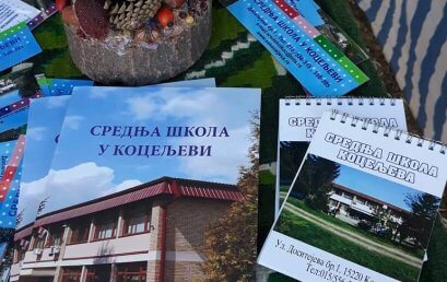 Фестивал зимнице у Коцељеви